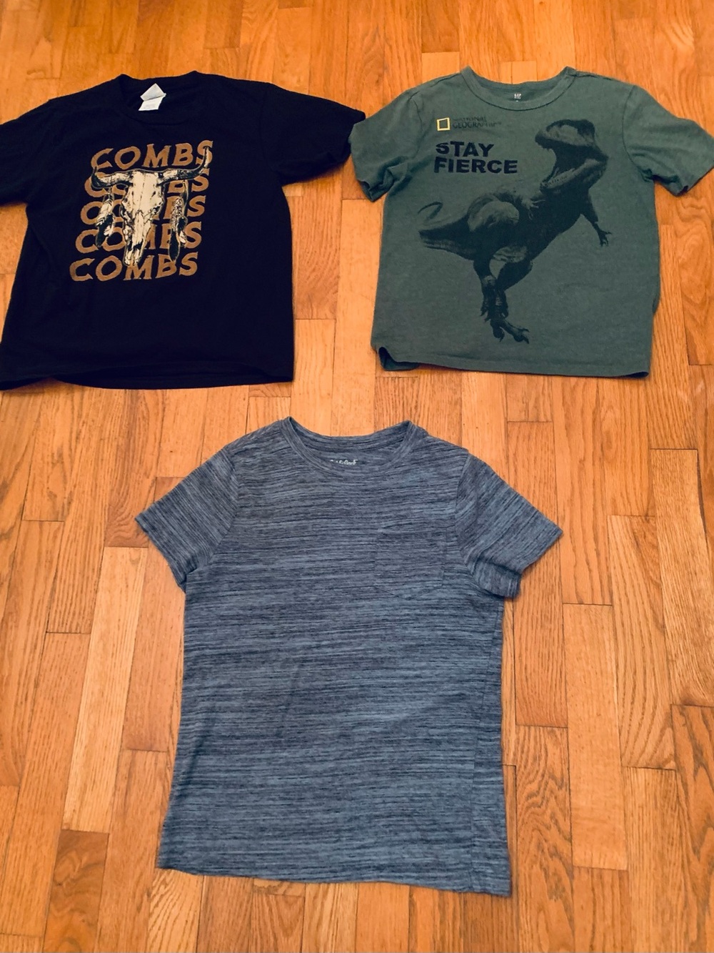 Boys Size M Shirt Bundle: Black Luke Combs, Green Gap National Geographic Dinosa